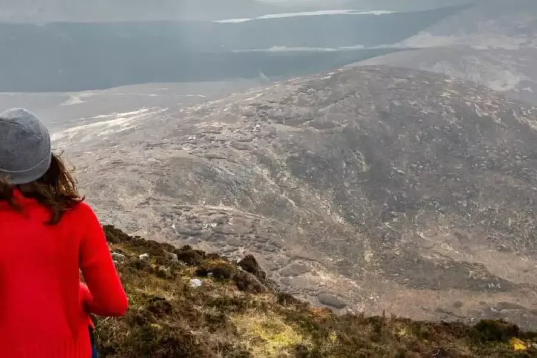 Agrarpraktikum im Ausland - Irland