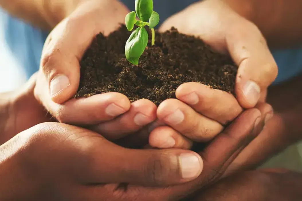 Employer Value in der Agrarwirtschaft - Interview mit Alma-Vesta