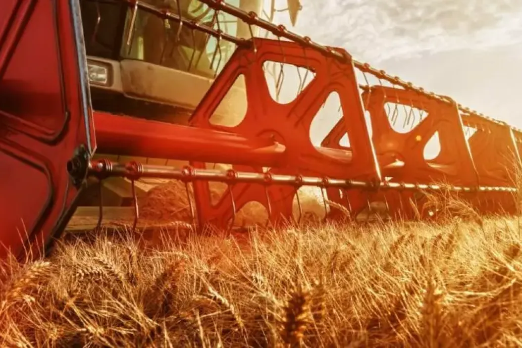 Agrartechnik studieren Mähdrescher bei der Ernte