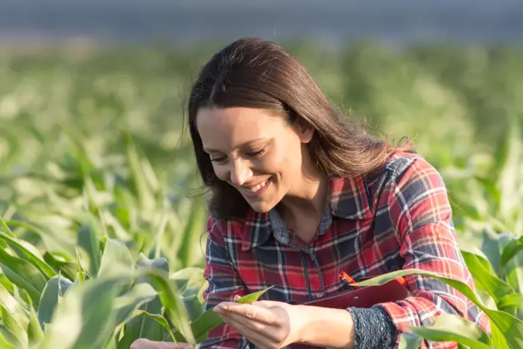 Ausbildungsverträge: mehr Landwirtinnen in der grünen Branche