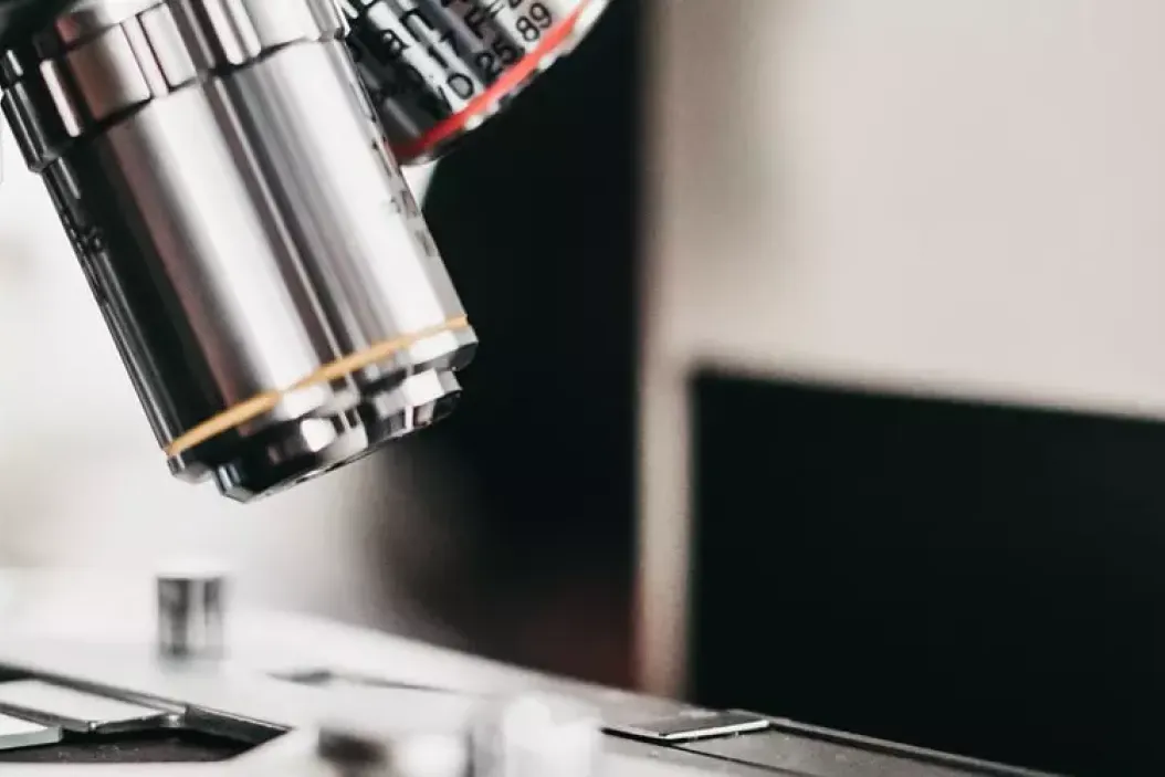 Mikrobiologen in der Landwirtschaft: Das Berufsbild im Überblick auf agrajo.com