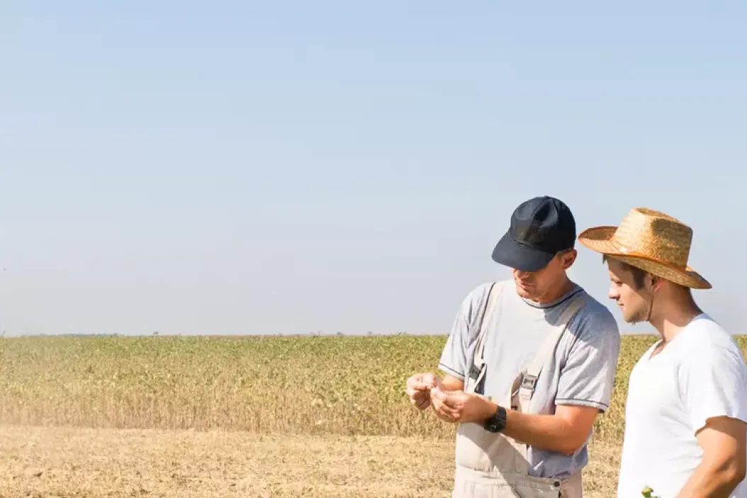 Gehälter unter Angestellten in der Landwirtschaft