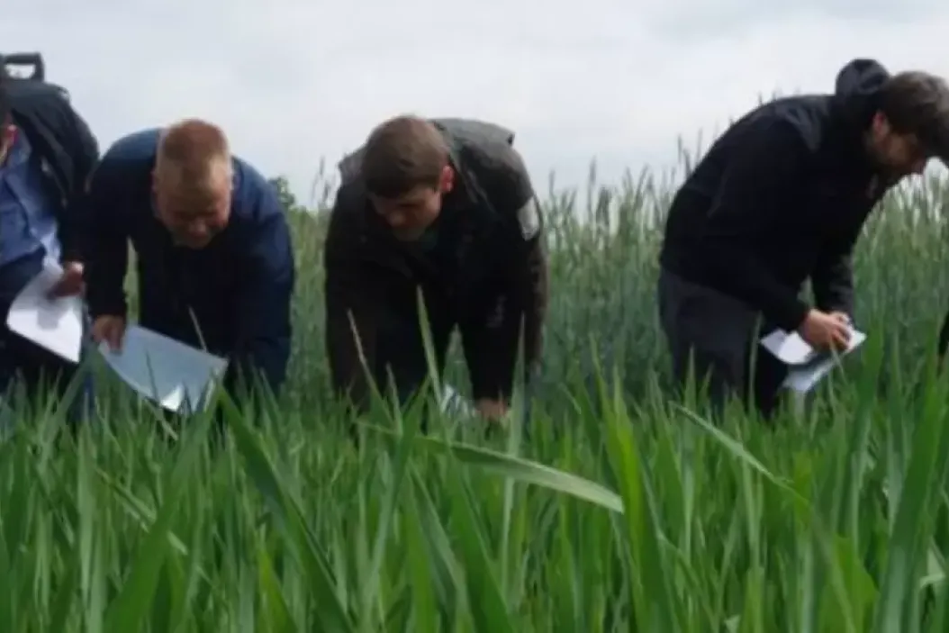 Agrarmanagement-Studenten der Hochschule Anhalt