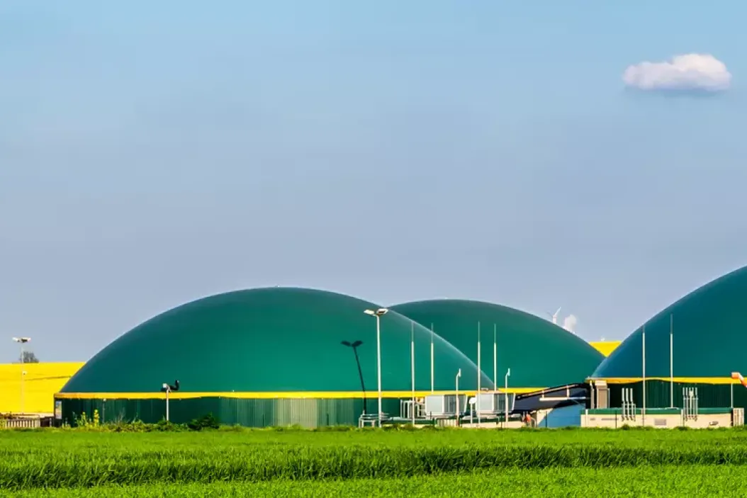 interview agriportance