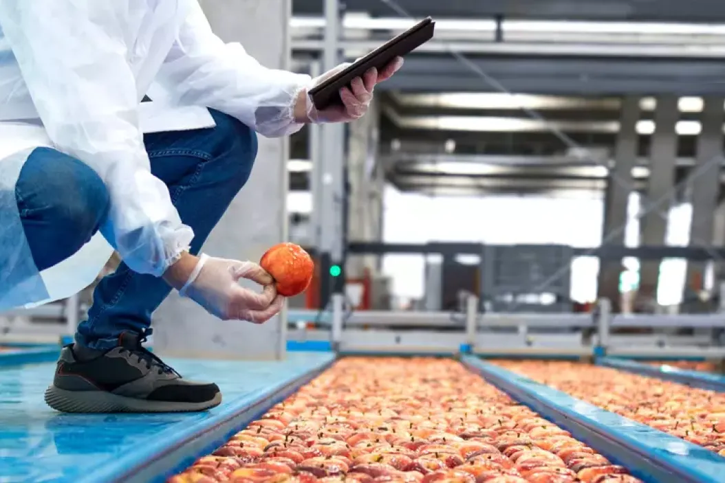 masterstudiengang food processing