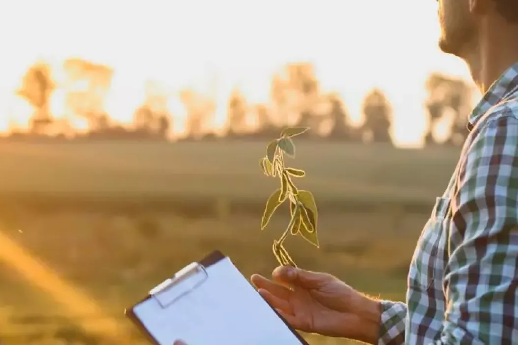 Was macht ein Anbauberater in der Landwirtschaft?