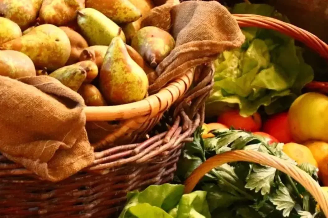 Direktvermarktung in der Landwirtschaft: Schritt für Schritt zum eigenen Laden auf agrajo.com
