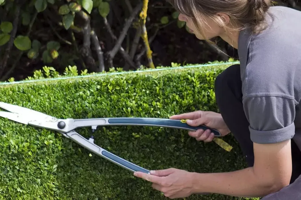 Jobs Gartenbau - Was macht ein Gärtner?