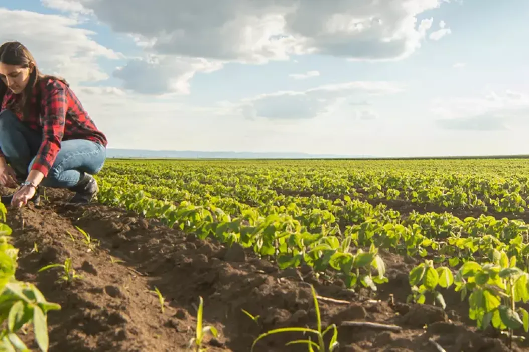 Gehalt Landwirtschaft Ausbildung