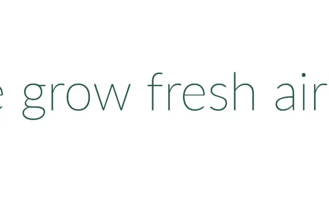 5 fixe Fragen an … Peter von Green City Solutions