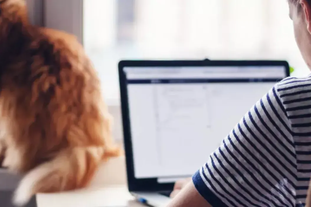 Home Office: 5 Tipps zum richtigen Arbeiten zu Hause