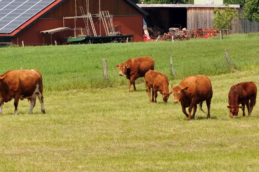 Landwirt werden ohne Hof