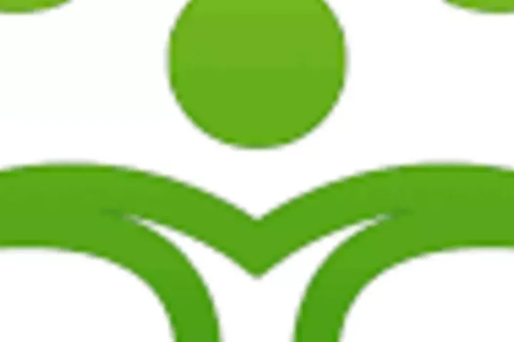 Interview: Was macht das Unternehmen Socks For Plants?