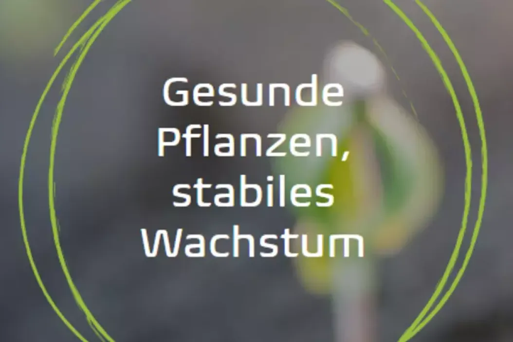 5 fixe Fragen an … OmniCult