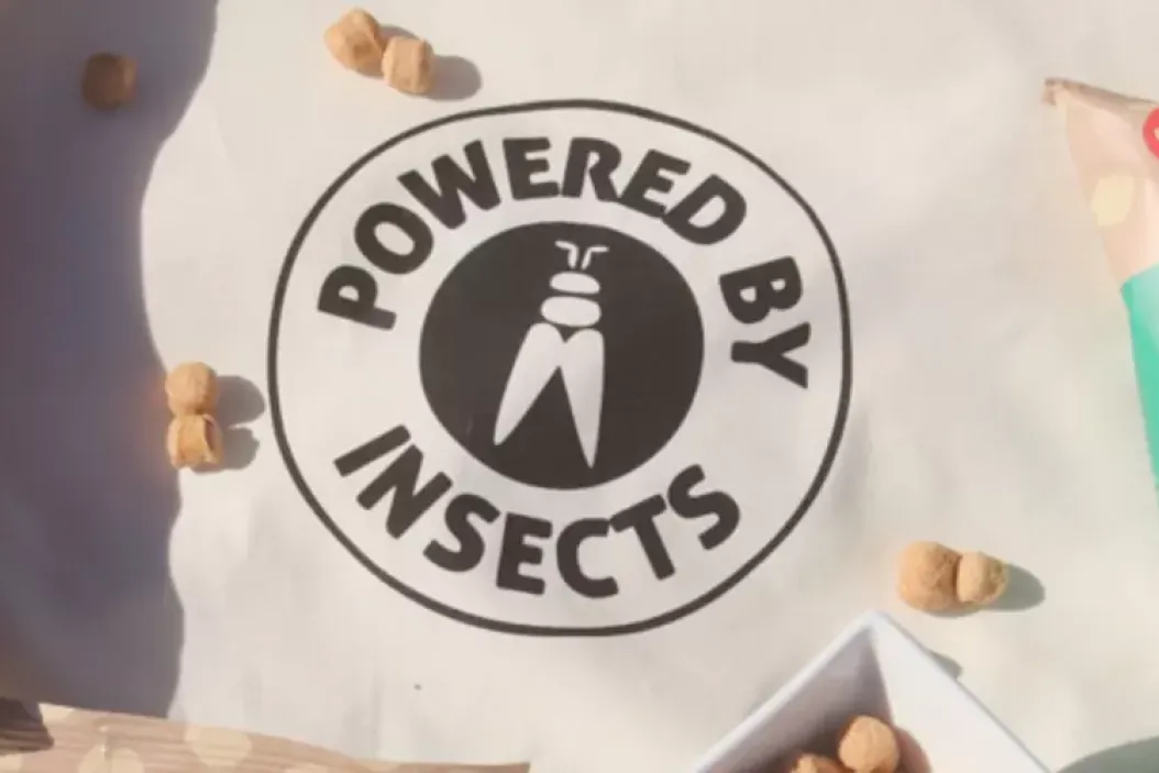 Insnack - Snack aus Insekten in verschiedenen Sorten