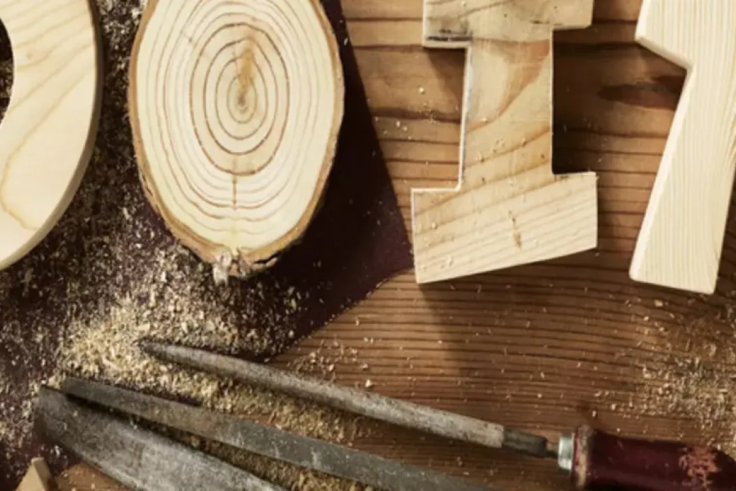 Studium Holztechnik in der grünen Branche