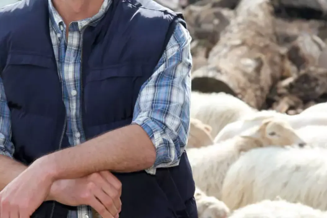 Interview: Arbeiten als Tierwirt mit Schafen
