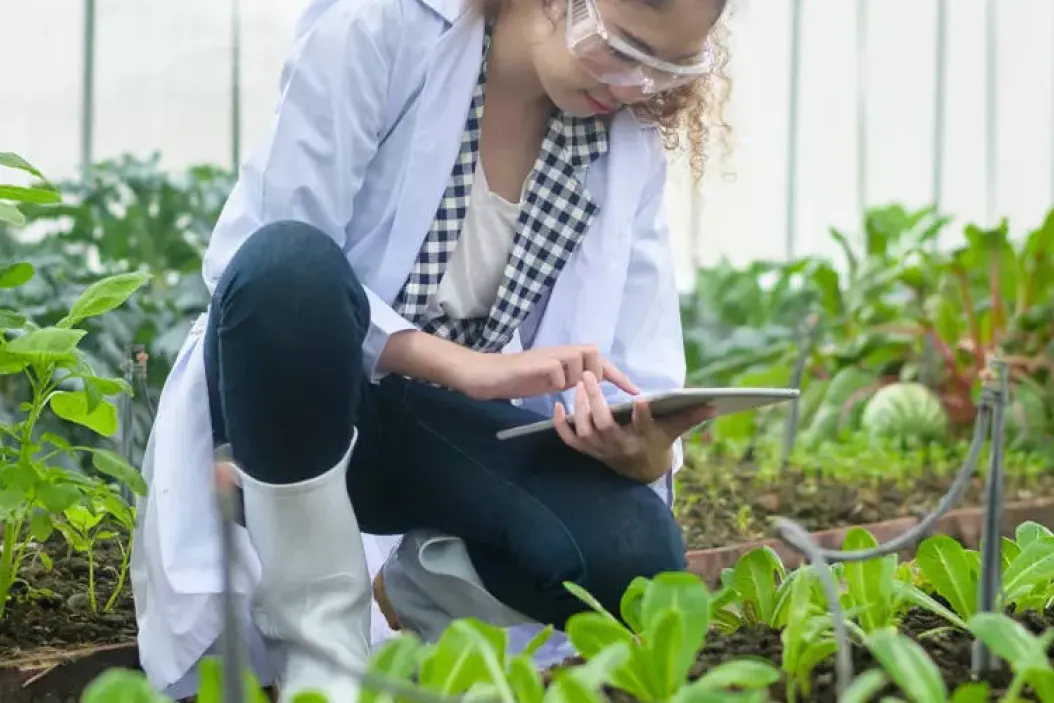 Was macht ein Agronom?