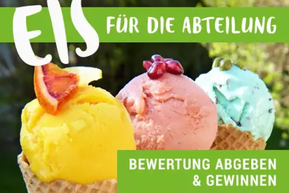 logo_eis