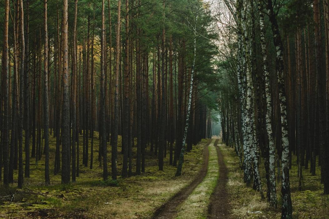 agrajo.com Hochschule Eberswalde Brandenburger Wald