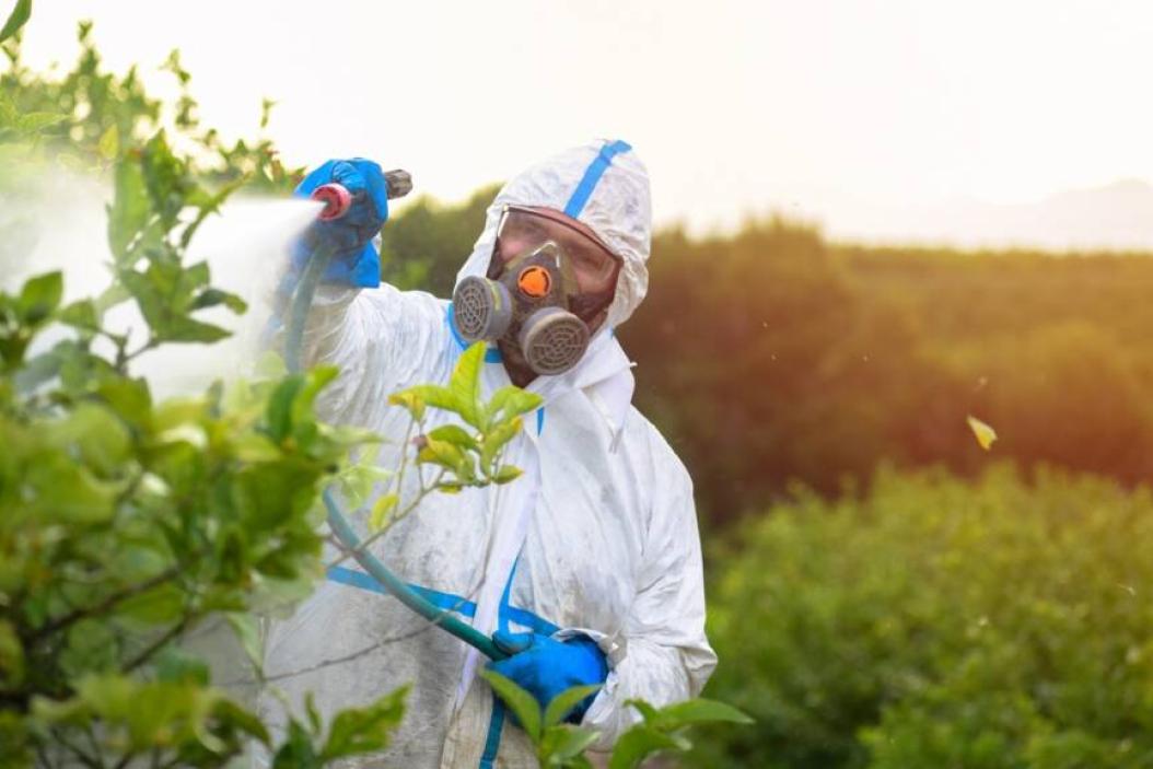 Arbeitssicherheit in Grünen Berufen – Welche Risiken gibt es?
