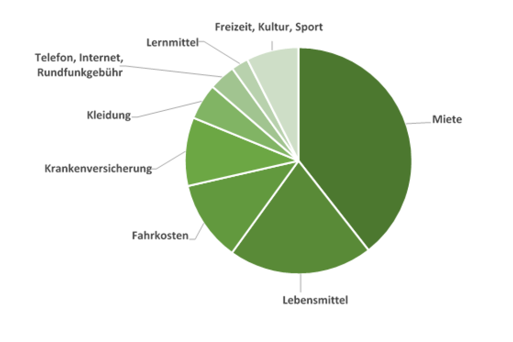 Ausgaben-im-Studium