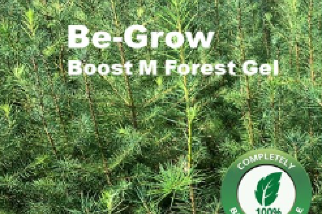 5 fixe Fragen an … Maik von Be-Grow