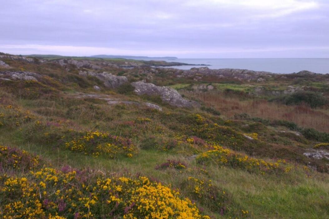 agrajo.com Agrarpraktikum Irland Landschaft