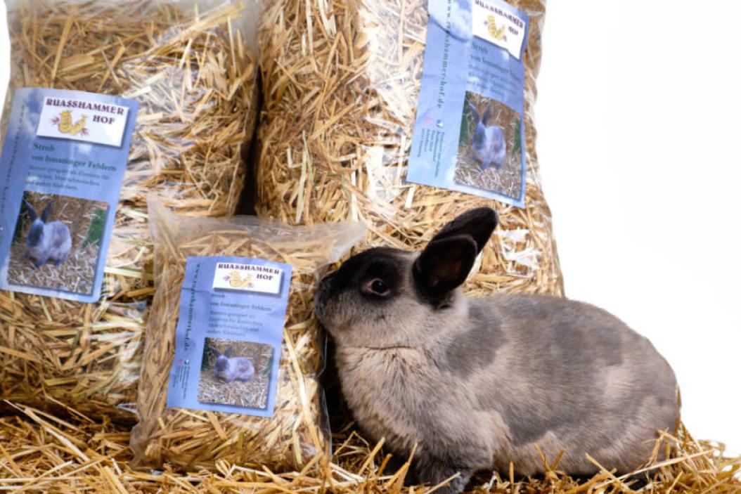 Kaninchen_mit_Stroh_vom_Ruasshammerhof-1-1024x576