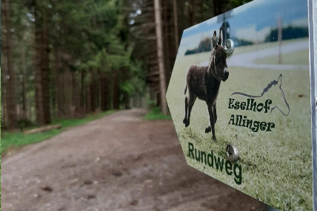 Rundweg-Eseltour