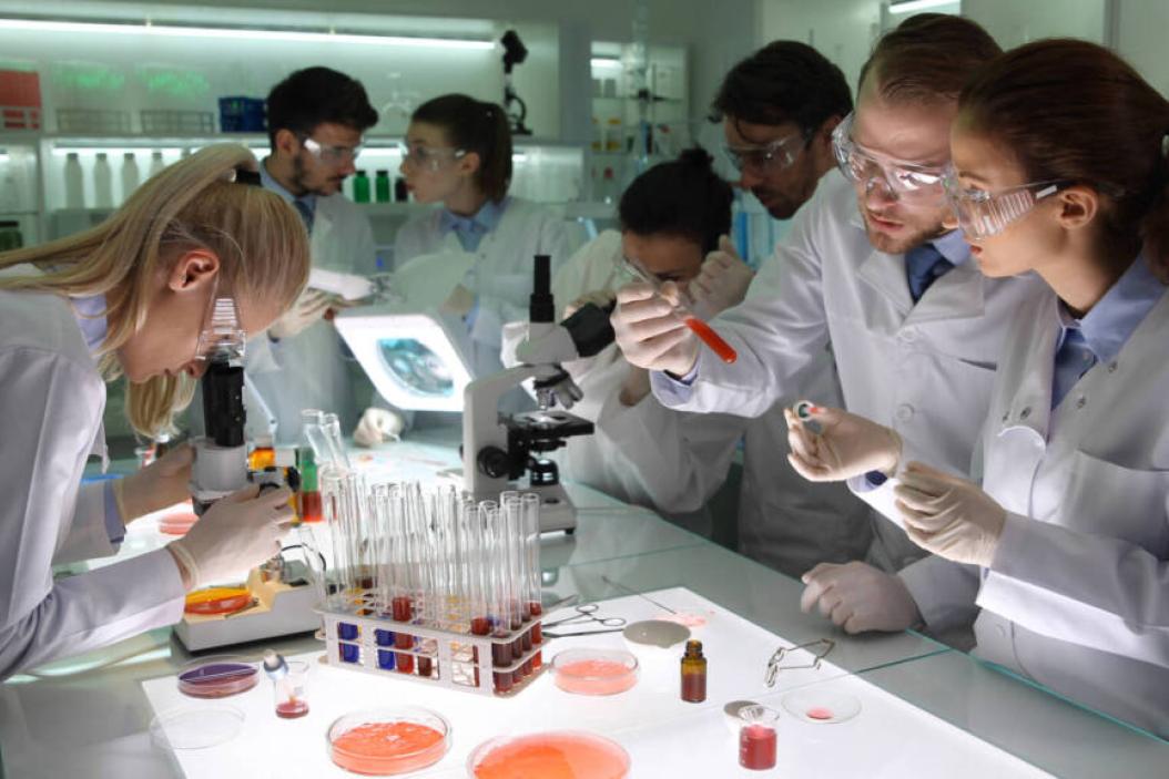 Was macht eine Biologielaborantin?