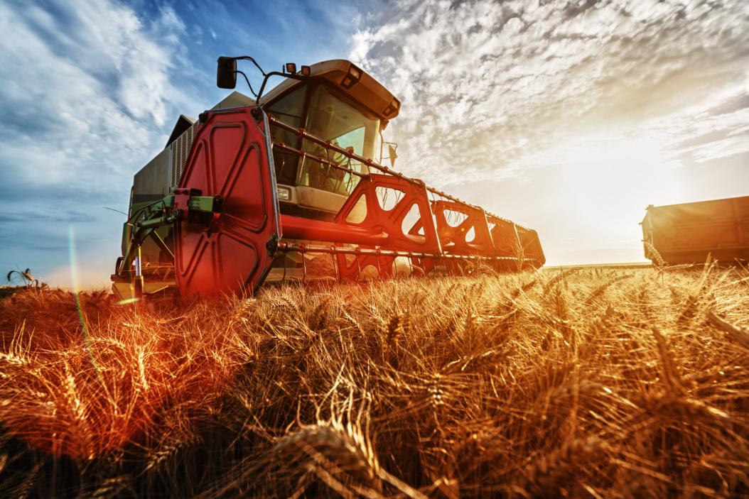 Agrartechnik studieren Mähdrescher bei der Ernte