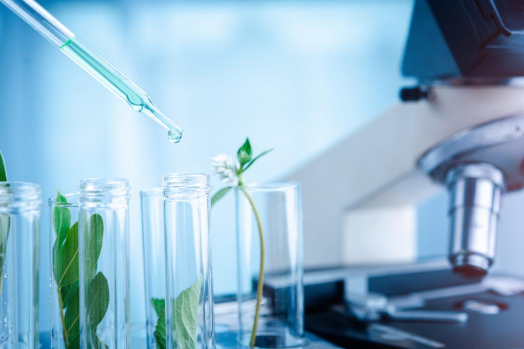 agrajo biochemie studentin arbeiten mit dem mikroskop