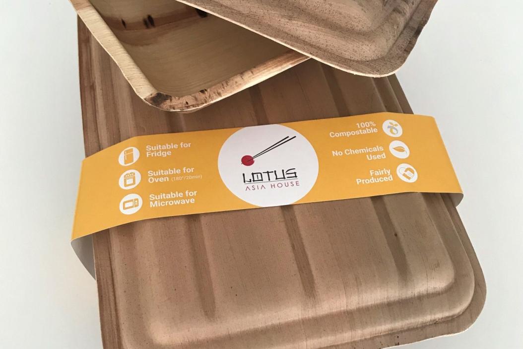 agrajo-leef-palmblatt-statt-plastik-produkt-1-scaled