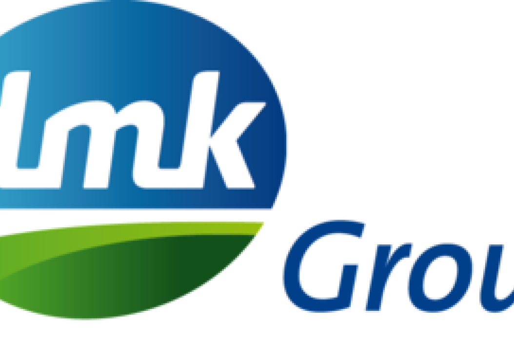 Logo der DMK Group