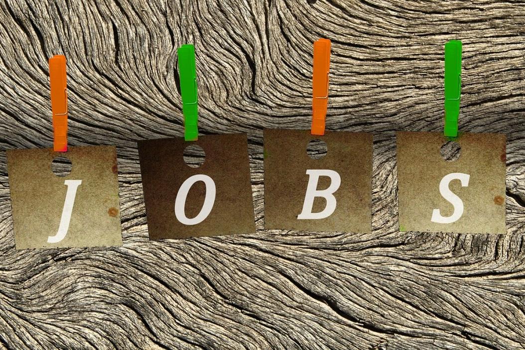 agrajo.com Theorie vs. Praxis Jobs