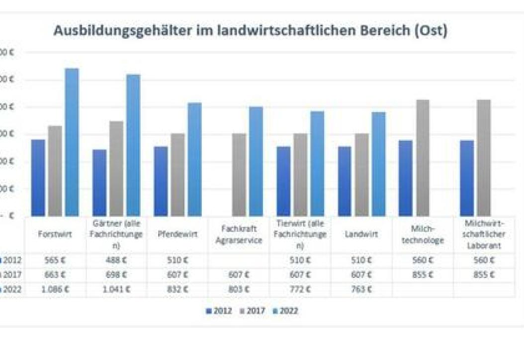 ausbildungsgehalt-ost-47755934