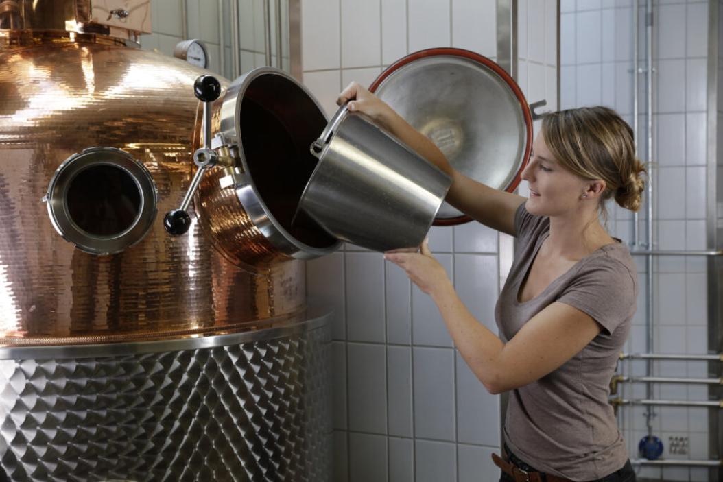 dhbw-heilbronn-studiengang-wein-1024x683