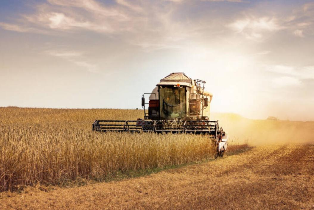 Mähdrescher bei Arbeiten auf einem Feld - Ausbildung zur Fachkraft Agrarservice