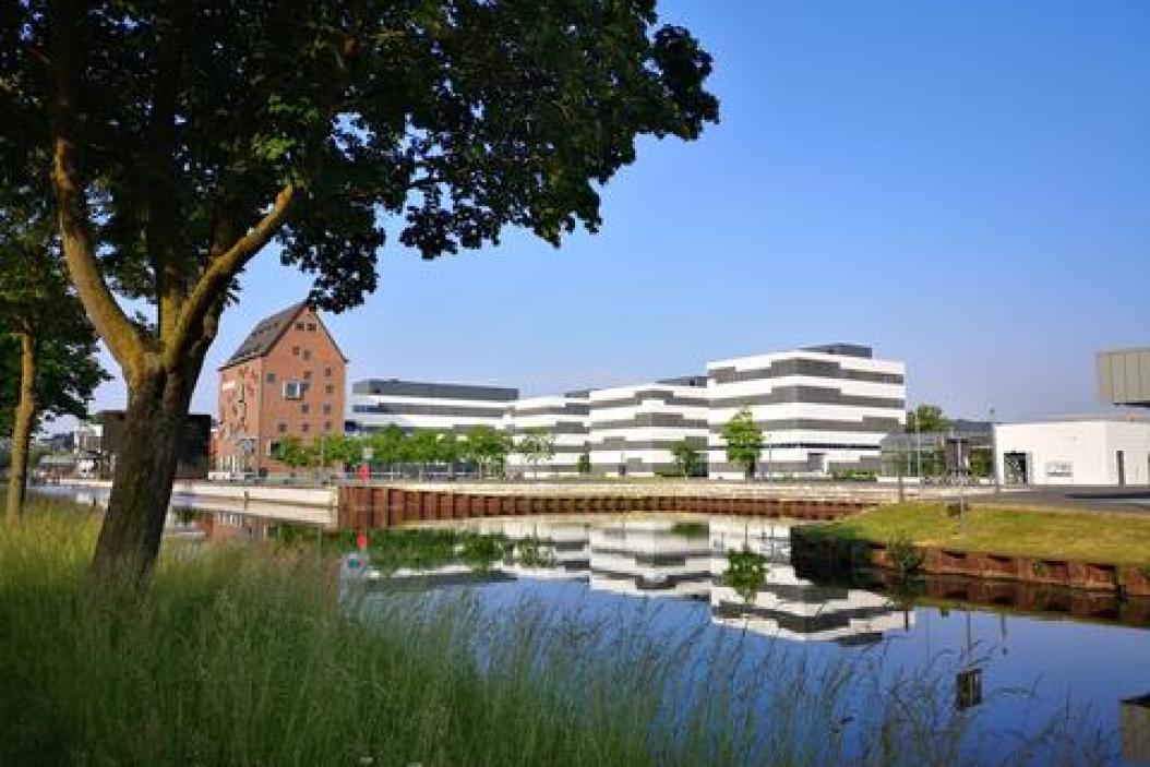 hochschule_rhein-waal_interview_studiengang