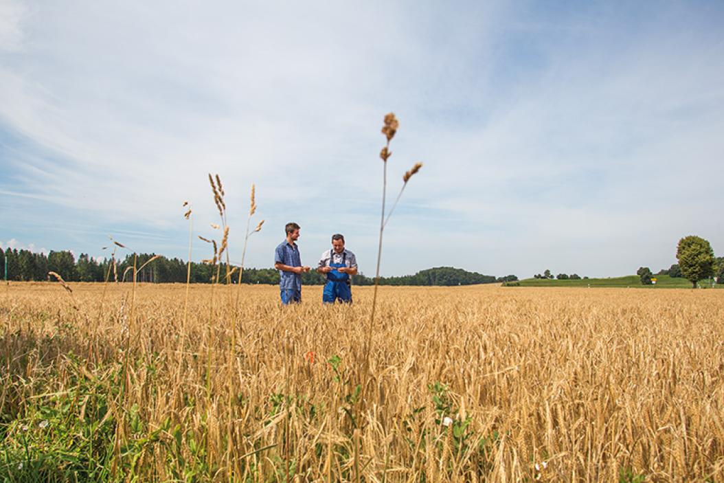 hofuebergabe-bbv-steuerberatung-land-und-forstwirschaft