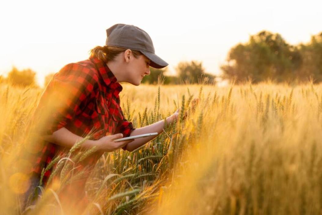 Hofübergabe in der Landwirtschaft - erfahre mehr auf agrajo.com