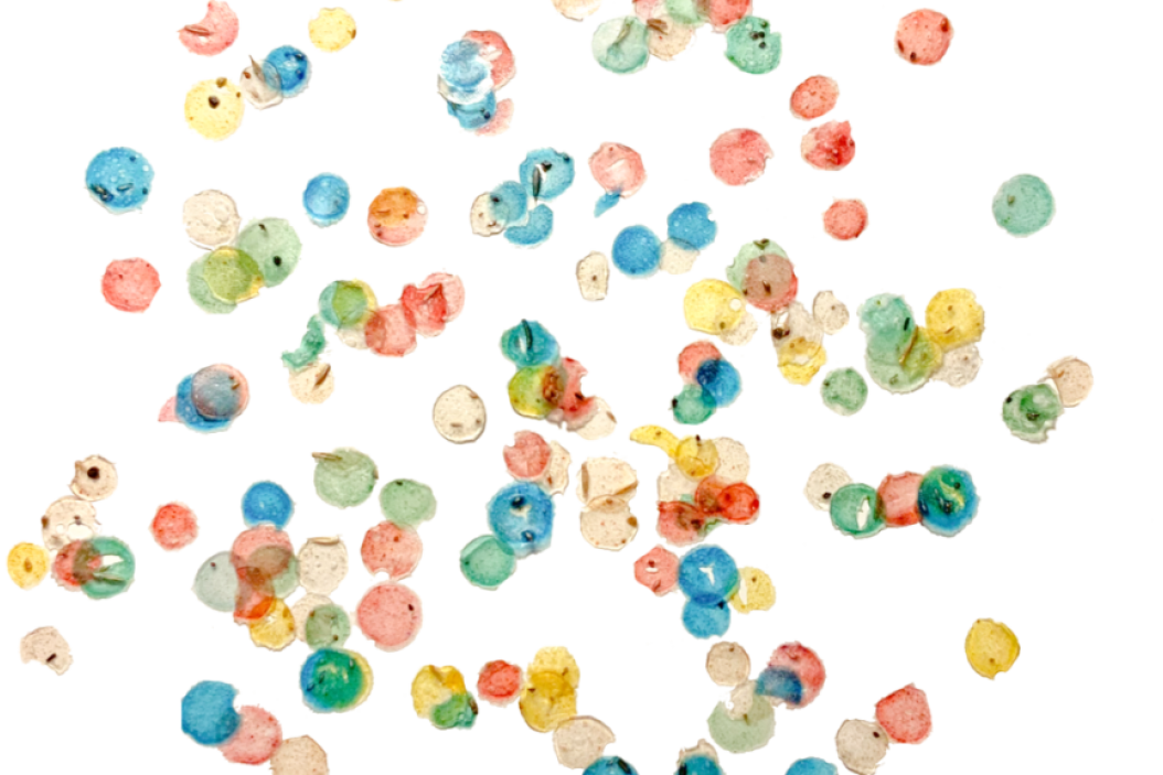 saatgutkonfetti-kompostierbar-1024x576