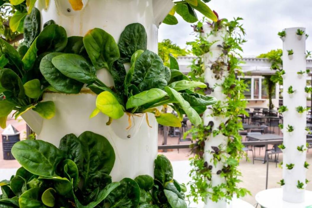 Vertikale Pflanzenkübel in einer Säule - Vertical Farming