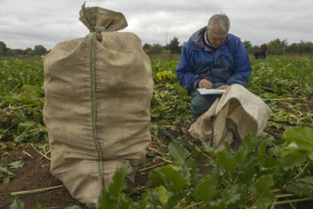 th-bingen-landwirtschaft-umwelt-1024x576
