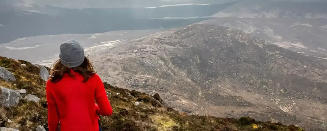 Agrarpraktikum im Ausland - Irland