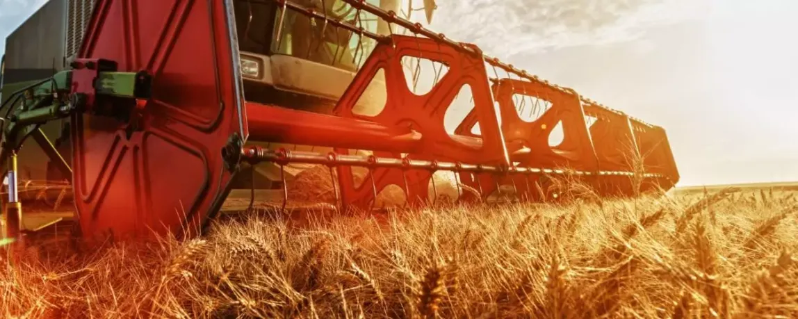 Agrartechnik studieren Mähdrescher bei der Ernte