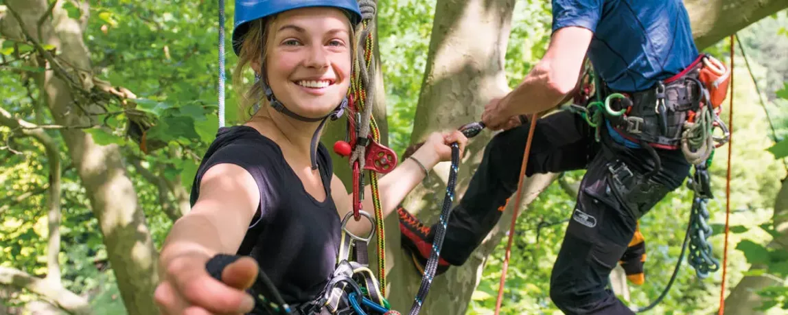 Studiengang Arboristik Baumkletter-Übung