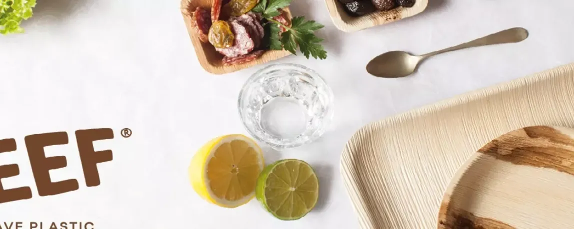 agrajo Leef Palmblatt statt Plastik Cover