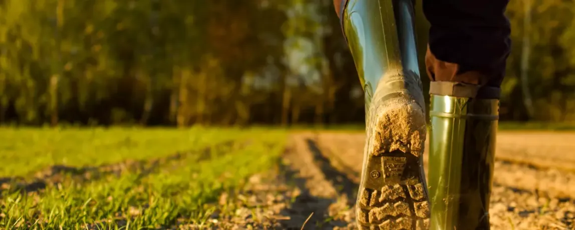 Ausbildung Landwirt